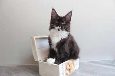 Chloe